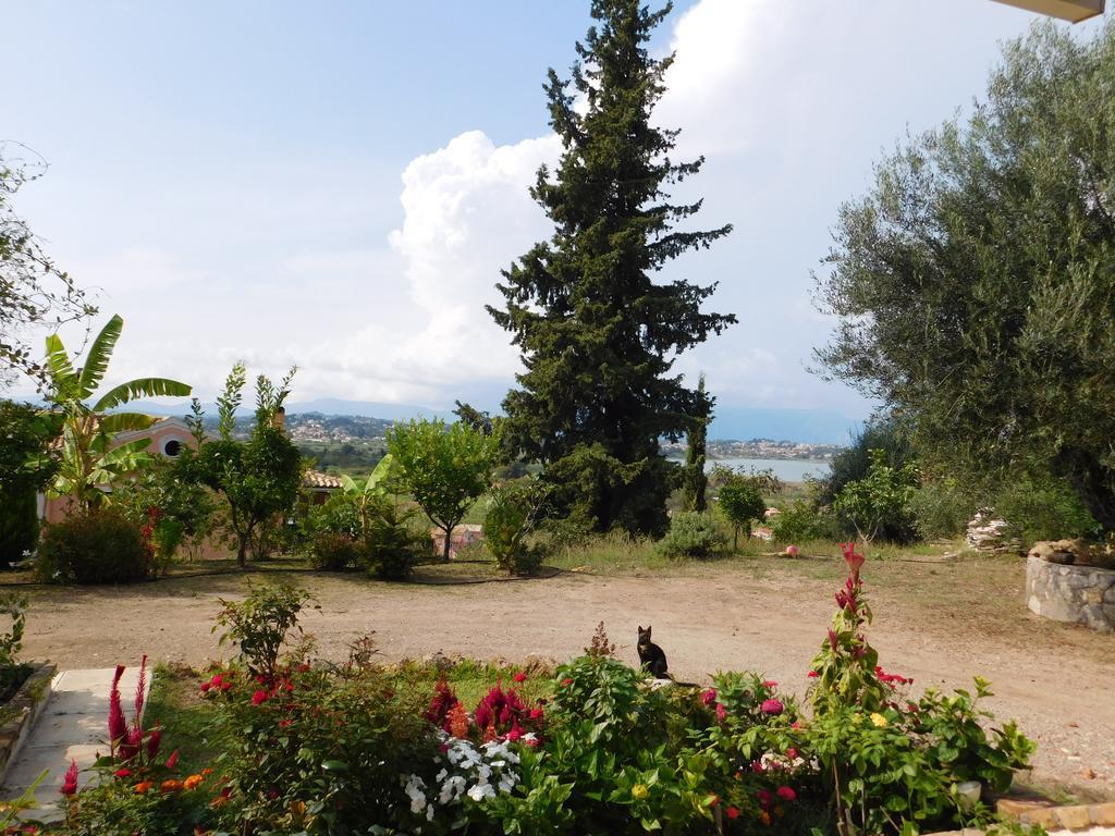 Olga's Hill *