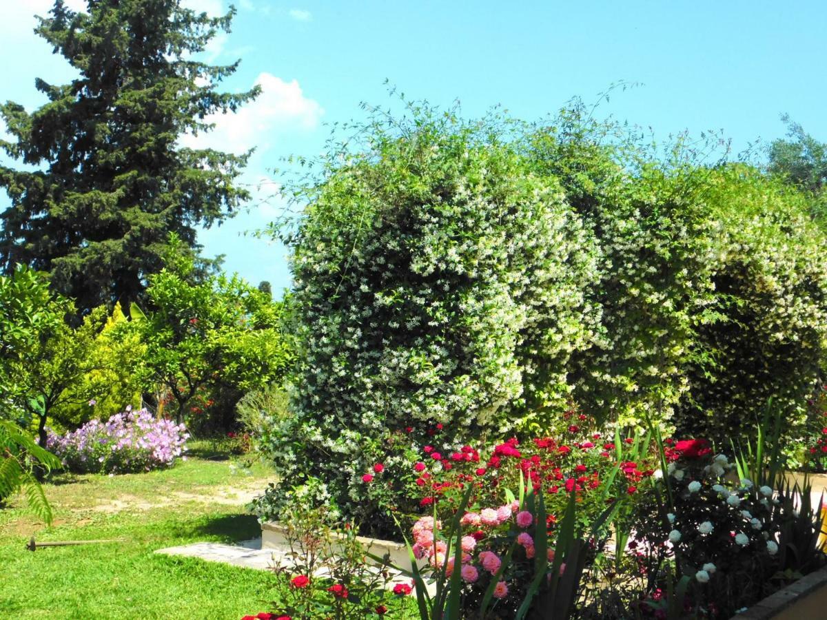 Olga's Hill Ferienhaus *